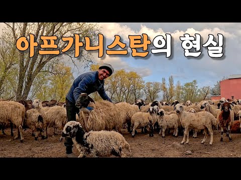[#48] 탈레반을 피해 도망친 아프가니스탄 청년과 유목민 아저씨의 따뜻한 초대 (튀르키예 🇹🇷)