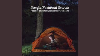 Nocturnal Insect Harmony
