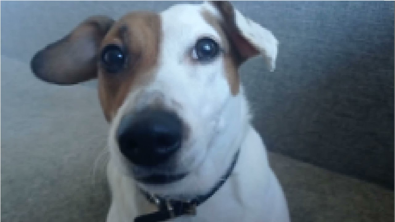 Винтаж - Ева (Оригинал Минус)