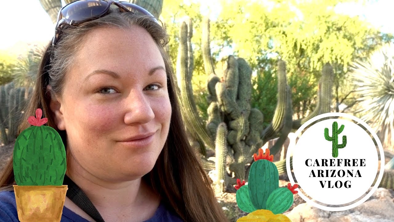 Carefree, AZ | Desert Plant VLOG