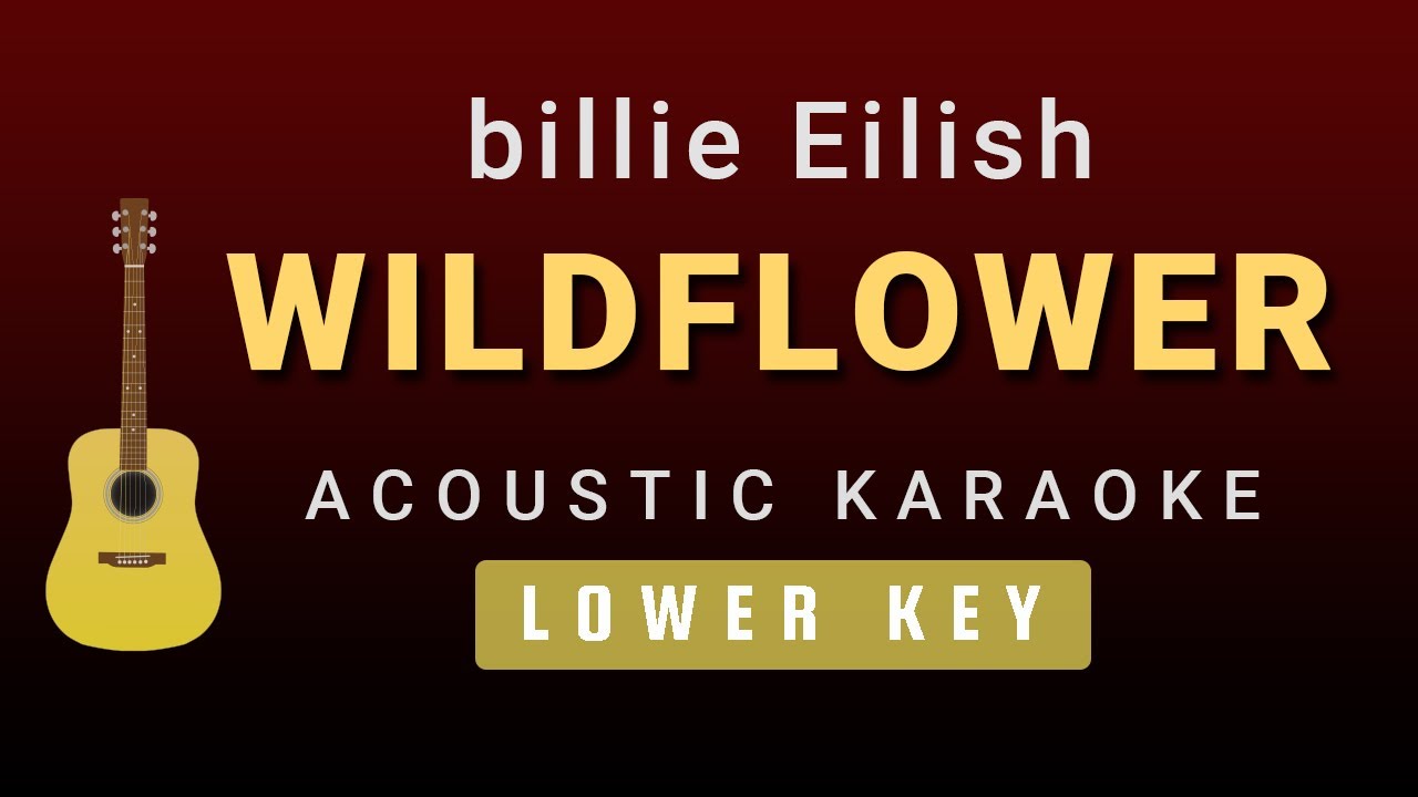 WILDFLOWER - Billie Eilish (Male / Lower Key Acoustic Karaoke) WILDFLOWER - Billie Eilish (Male / Lower Key Acoustic Karaoke)