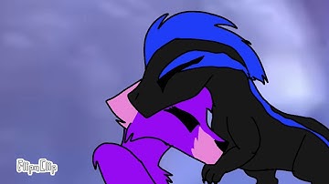 Q&A part 2 (comment more questions down)