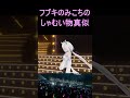 白上フブキによる　みこち　の物真似　【ホロライブ／切り抜き／白上フブキ／さくらみこ／戌神ころね】　#shorts
