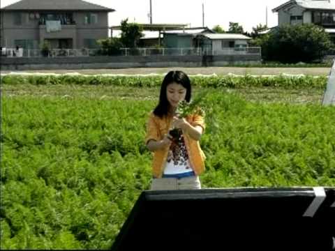 璃子ＣＭ　ＮＯＷ１２２.MPG