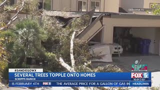 Several Trees Topple Onto Homes
