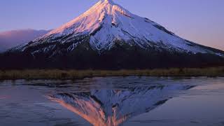 I’m Your Shadow (Mi estas via Ombro)