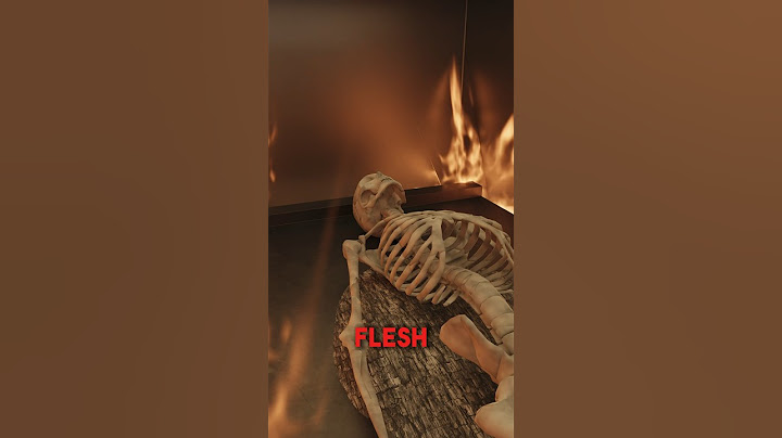 How Cremation Works 😯