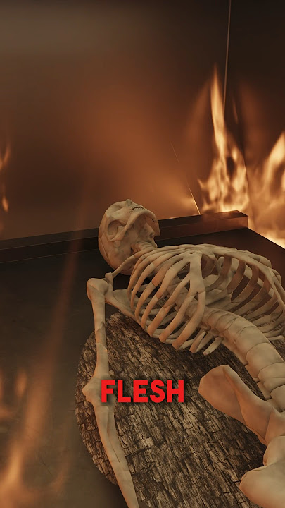 How Cremation Works 😯