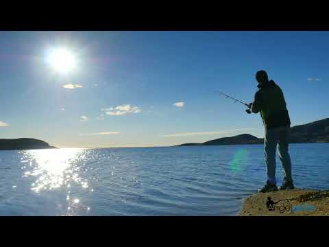 Angelplatz.de | Dein Angelshop im Netz!