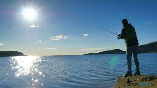 Angelplatz.de Dein Angelshop Im Netz