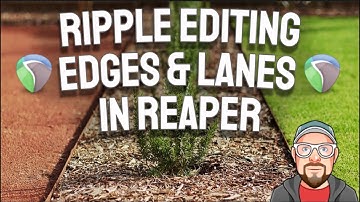 Ripple Editing ( Edges & Lanes) in REAPER