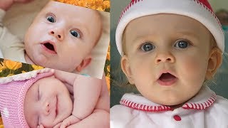 Fun And Fails Baby - 100 Funny Baby Moments | Fun And Fails Baby Video