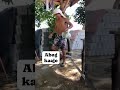 kainit sa panahon,pabugnaw ta... #funny #comedy