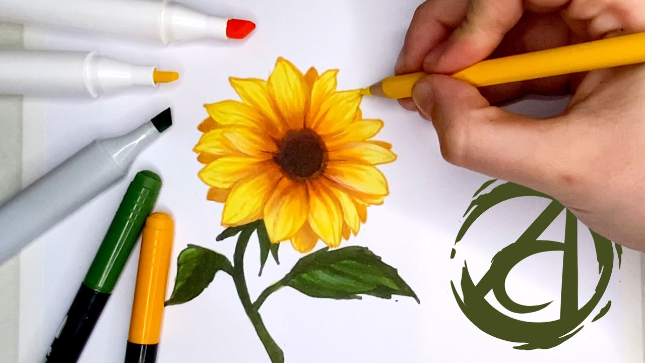 Como Desenhar Um Girassol Passo A Passo Para Iniciantes