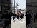 【三条】三条祭り・大名行列 #三条祭り #大名行列 #shorts