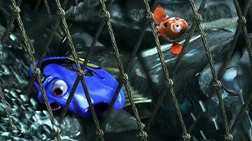 Finding Nemo - escape from net