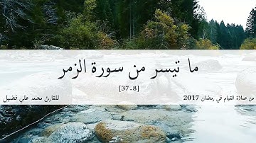 أفمن شرح الله صدره للإسلام فهو على نور من ربه - ما تيسر من سورة الزمر