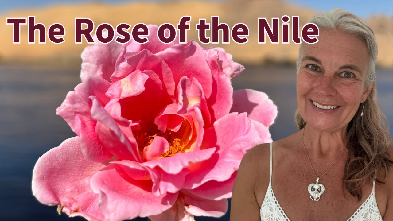 Discovering the Rose Line in Egypt