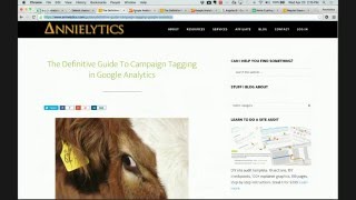 Annielytics Live Hangout - Apr 2016