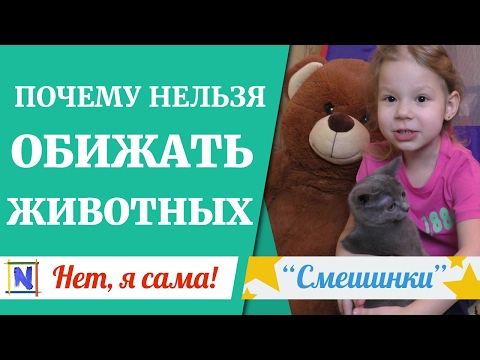 Видео о том, почему нельзя обижать животных Смешинки Нет, я сама Netyasama