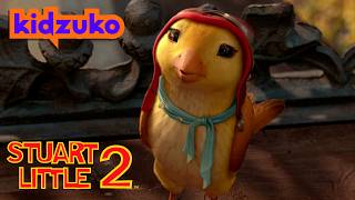 ✨ Margalo Decides To Fly Home 🐤 | Stuart Little 2 |  ⁨@Kidzuko⁩