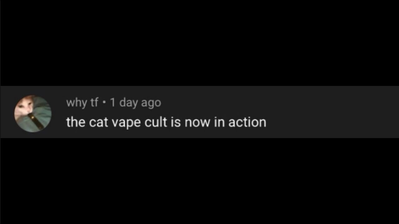 The cat vape cult - YouTube
