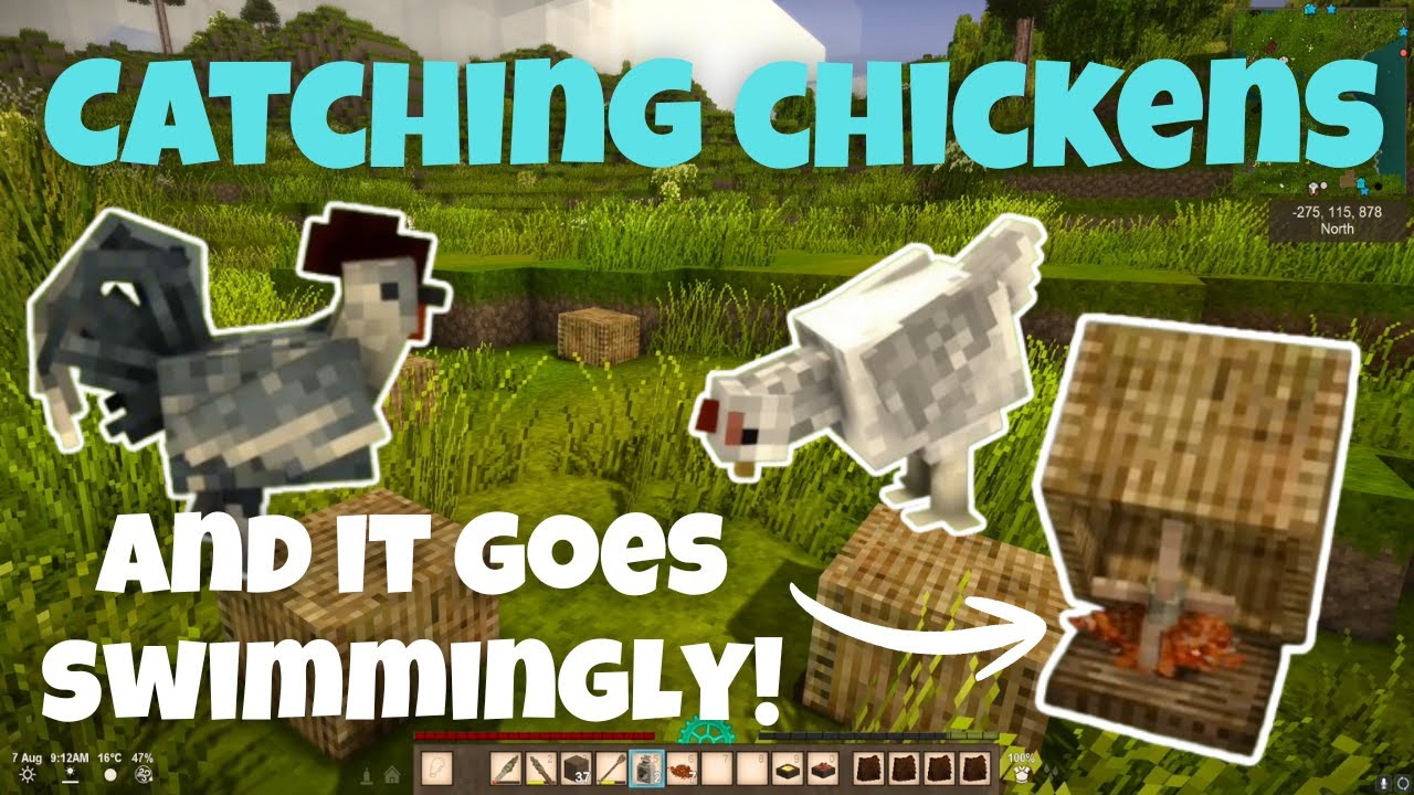 Catching Chickens 101, Winemaking, and Feeding our Pigs! - Vintage Story 1.20, Ep.8