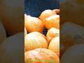 Mysore Bonda/ Bonda Recipe/ Brakefast Bonda Recipe/ Nawabs