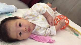 0Y2M13D 20150805 1 001