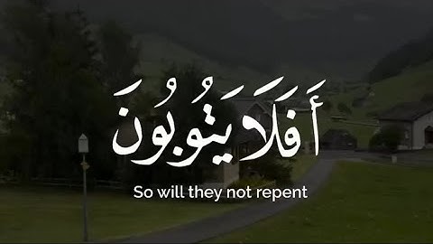 آيات من سورة المائدة بصوت جميل 🤍