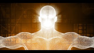 Bio Optimization How to Test Improve Physical Health for Longevity