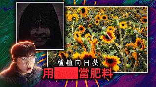 如果用人的██當肥料的話，向日葵會長得格外艷麗！（關於鷥門市的一些傳聞）薄海紙魚 *CC字幕