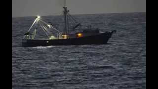 Shrimp Boat Before Sunrise Cruising by Flagler Beach, FL on  9/28/2014