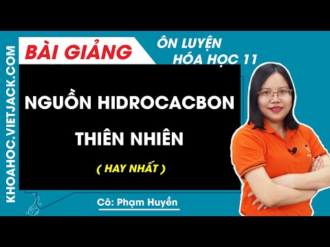 Video: Điều gì đã xảy ra với những người thân nhất của Dostoevsky?