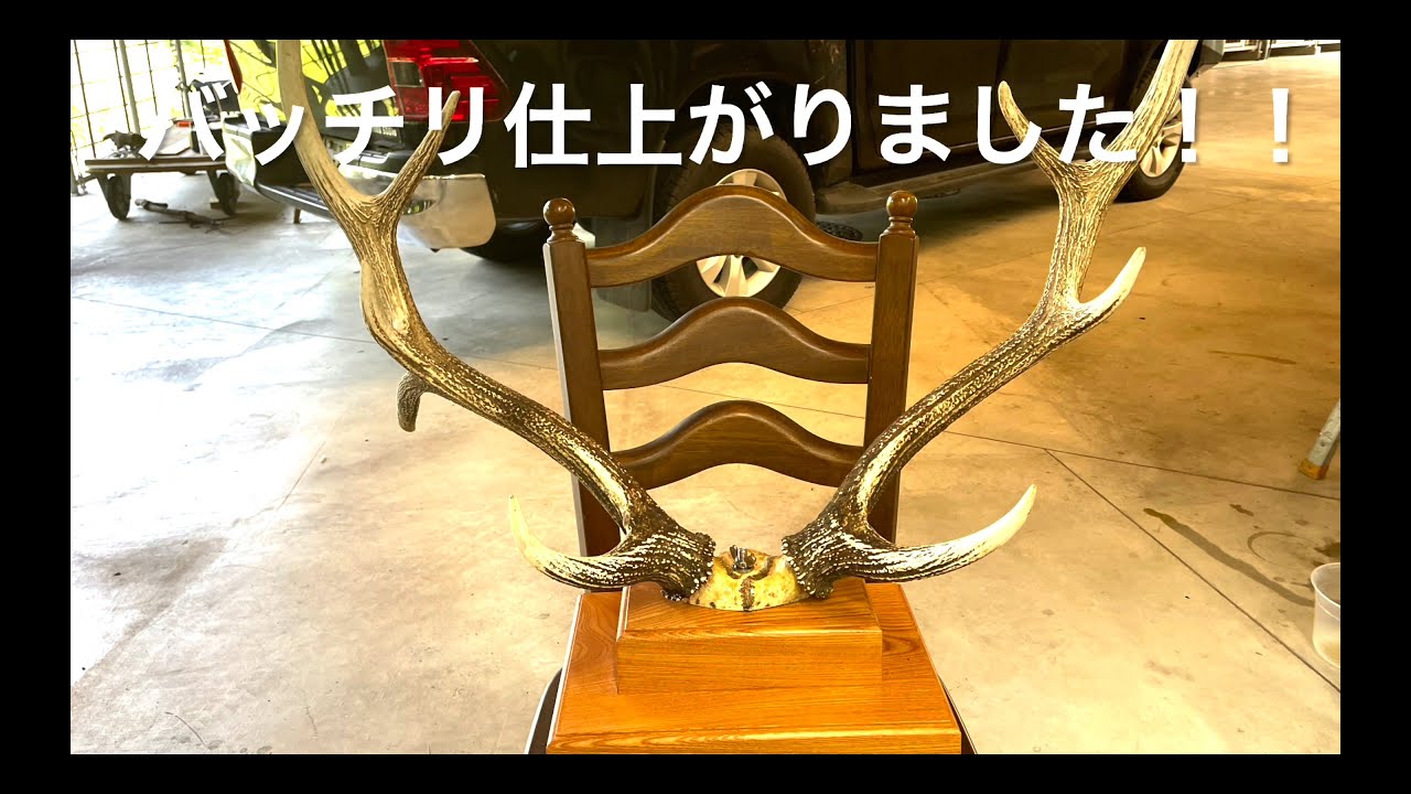 日本刀を飾る刀台の製作！第二章（蝦夷鹿角の頭蓋骨硬化） - YouTube