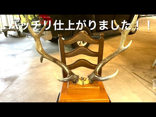 日本刀を飾る刀台の製作！第二章（蝦夷鹿角の頭蓋骨硬化） - YouTube