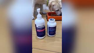 Good Girl Daisy Loving our Products Vetrinex Labs - Advanced Joint Support + Omega 3 Fish Oil