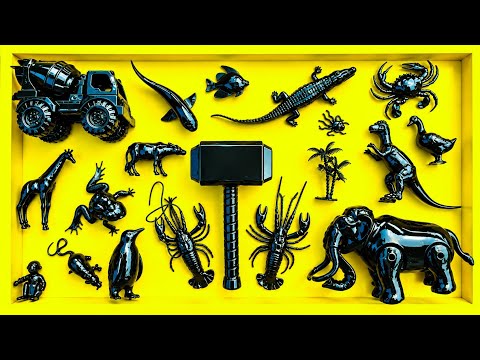 Cleaning animals: rabbits, frogs, crocodiles, cows, elephants, sawfish, grasshoppers, geese, bear...