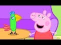 Peppa Pig Português Brasil | O Feriado da Polly | HD | Desenhos Animados