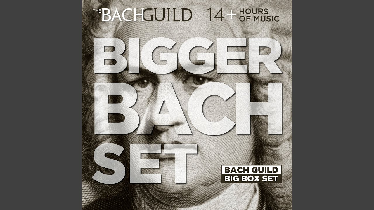 Cantata No. 209: Non sa che sia dolore (Italian Cantata) , BWV209: ii. Recitative (Soprano) :...