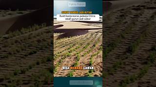 Cara China Hentikan Badai Pasir (China Desert Greening) #shorts