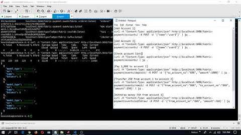 Hyperledger Fabric + Multi Node + Multi Orderer