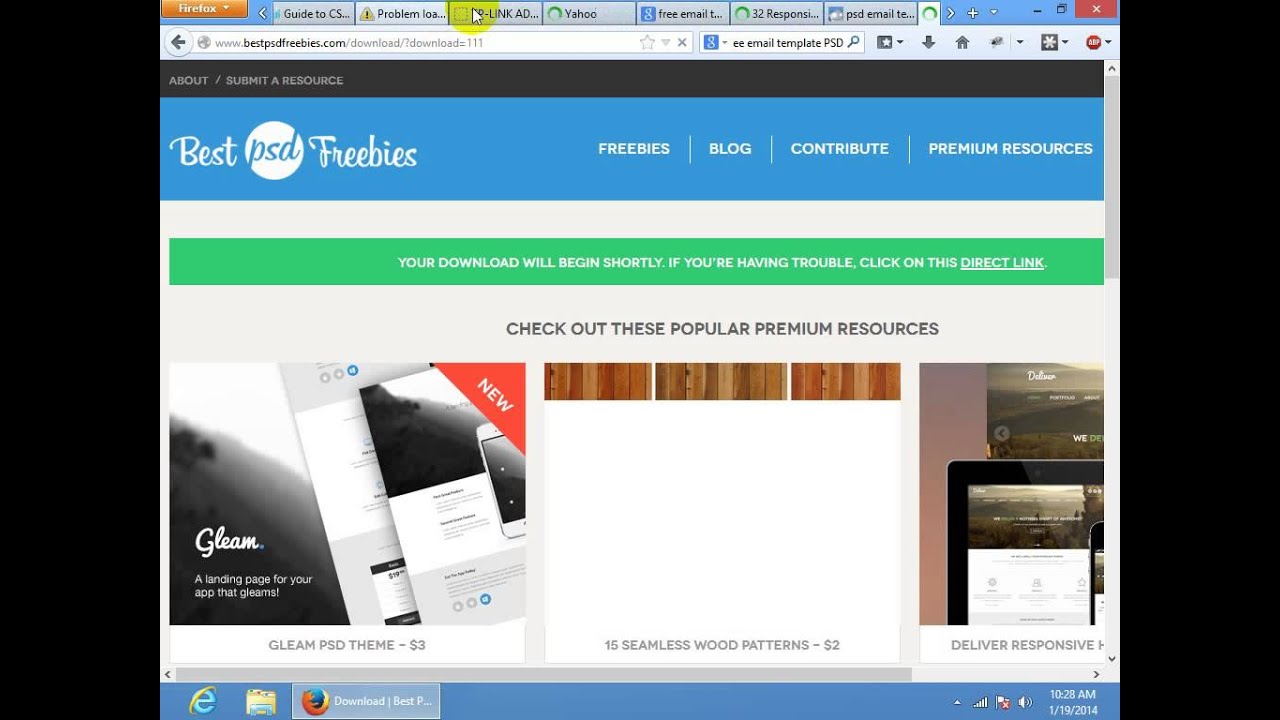 Web development