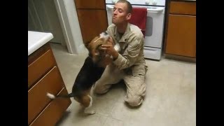 US Marine Surprise His Beagle Dog
http://soldierhomecoming.com/
Compilation of soldier Homecoming videos. Homecoming videos in my channel may appear in Good Morning America,World news ,ABC and KTLA 5 news channels .For any details please contact me.
US Marine surprise his Beagle dog
http://www.youtube.com/TirzahWolf .
JOIN QUIZGROUP PARTNER PROGRAM: http://join.quizgroup.com/ . US Marine Surprise His Beagle Dog