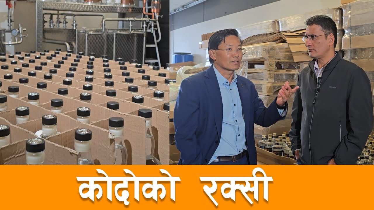 बिदेशी प्रविधिमा स्वदेशी उत्पादन: कोदो || Kodo Alcohol