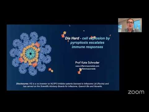 "Die hard: cell explosion by pyroptosis escalates immune responses" by Kate Schroder