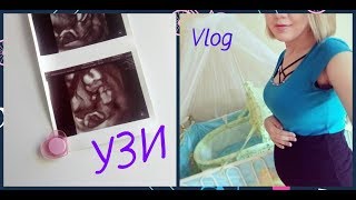 VLOG УЗИ Один день из жизни беременной #блогер#беременность#узи#ТаняРайс VLOG УЗИ Один день из жизни беременной #блогер#беременность#узи#ТаняРайс