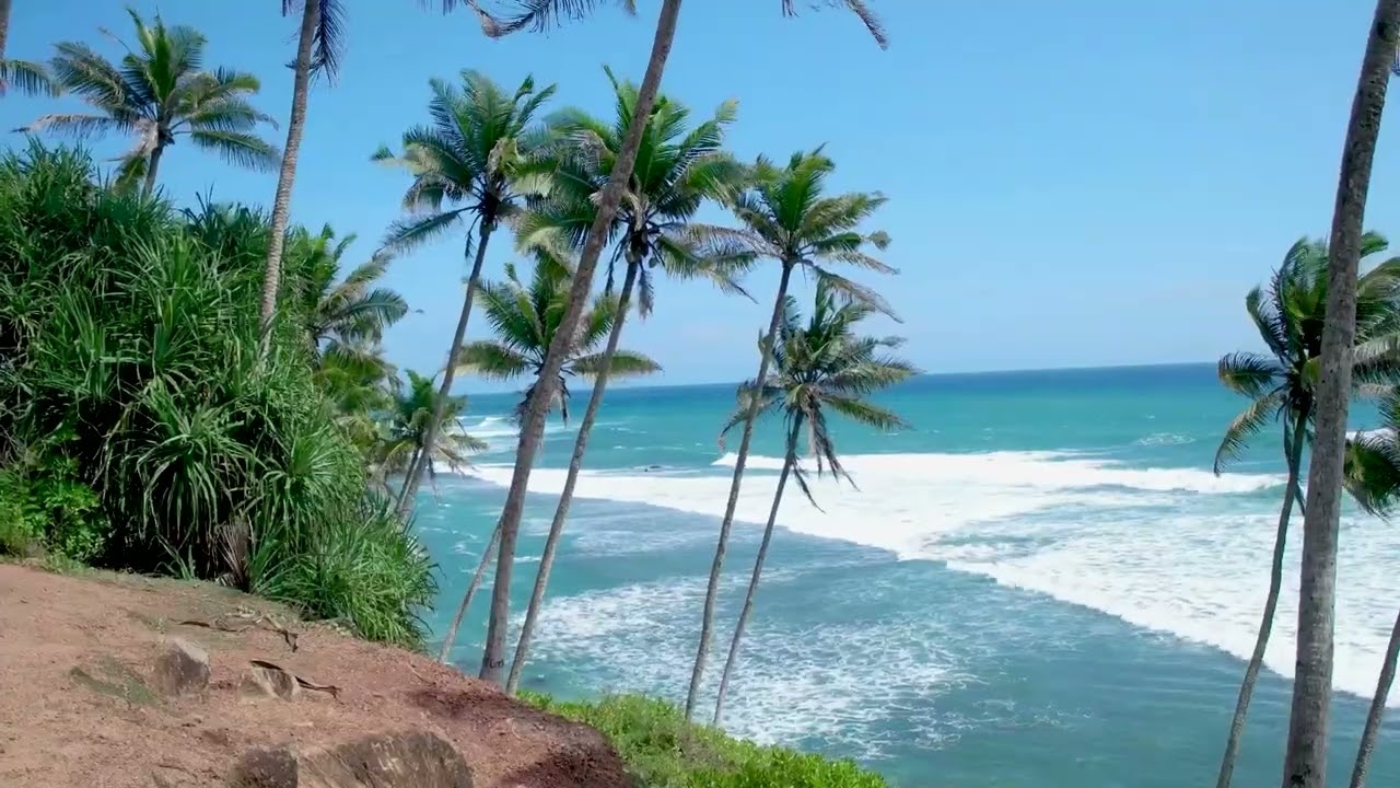 Down South Sri Lanka | Where the Ocean Sets the Rhythm