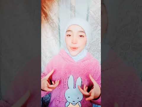 يا مواكب النور إنشاد اناشيد اكسبلور