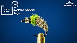 How To Tie A Simple Caddis Pupa Avidmax Fly Tying Tuesday Tutorials